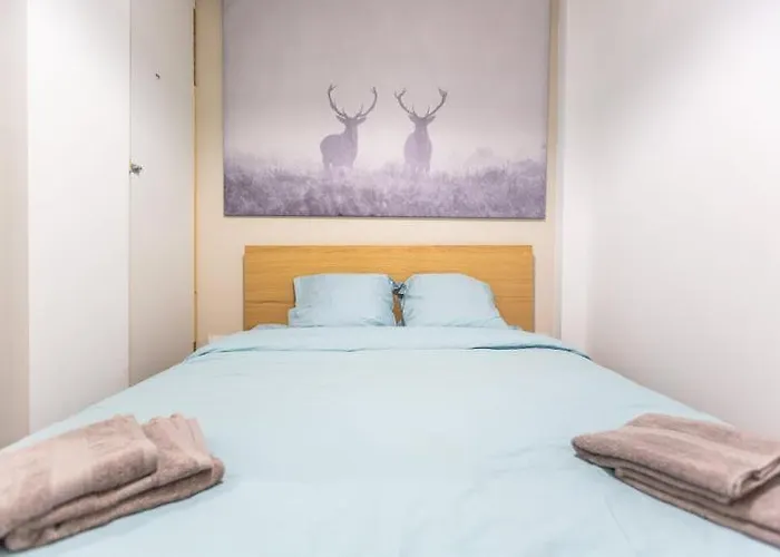 Bel appartement Type T3 refait a neuf